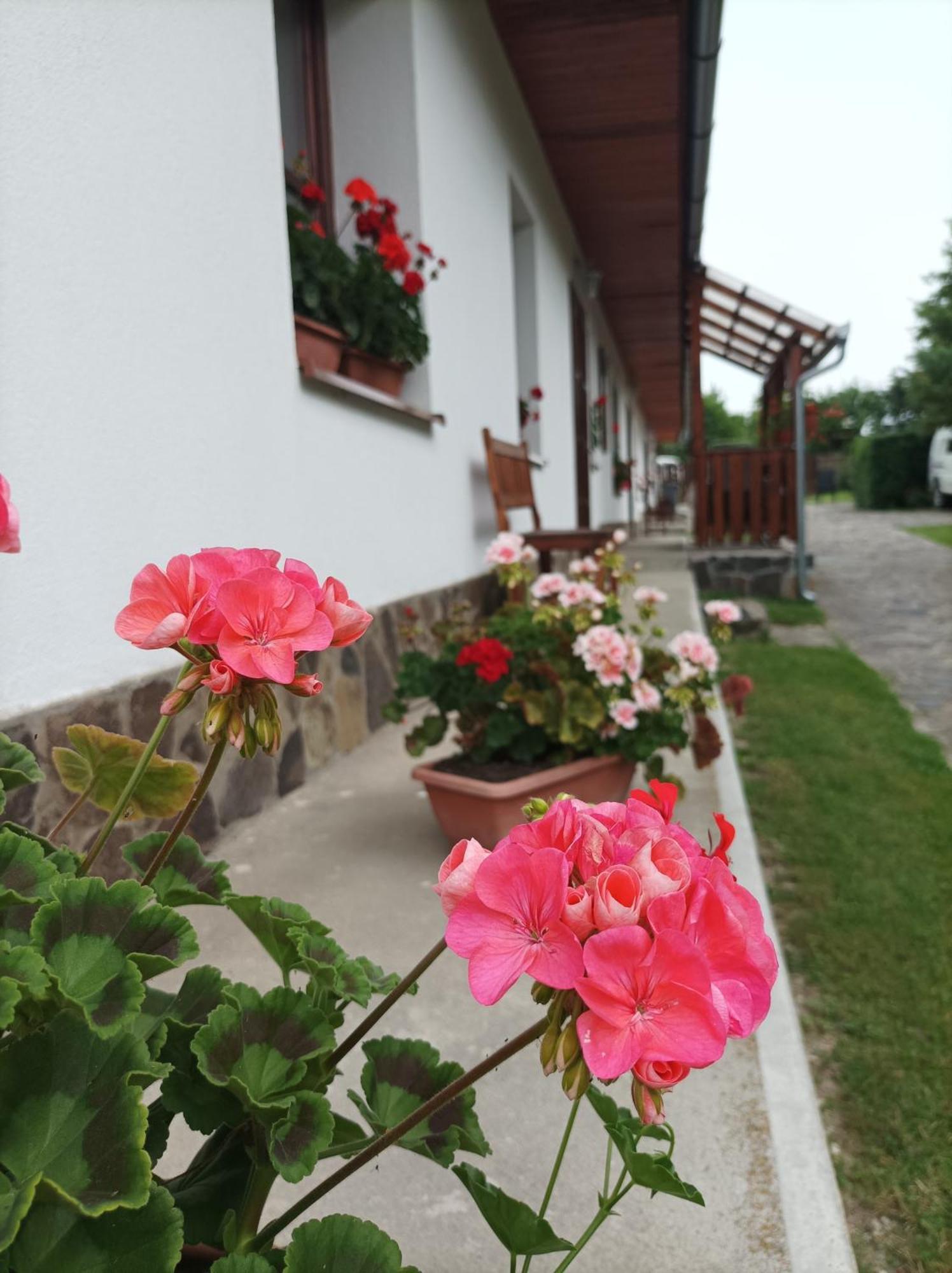 Kemences Vendeghaz Hotel Mikohaza Exterior foto